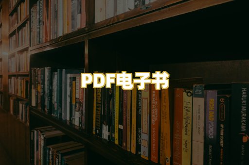 PDF电子书